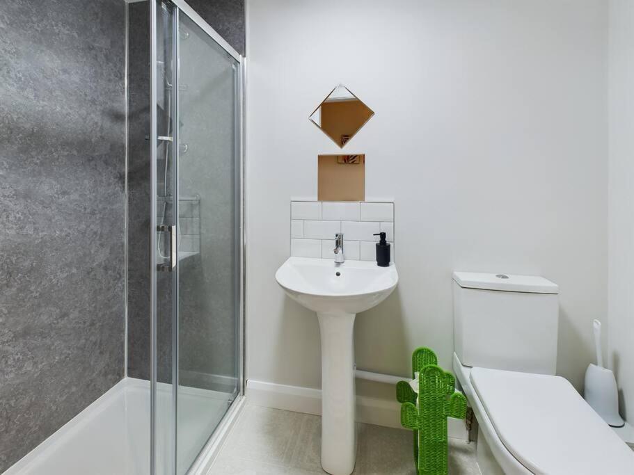Contemporary 2-Bedroom Apartment Μπέλφαστ Εξωτερικό φωτογραφία